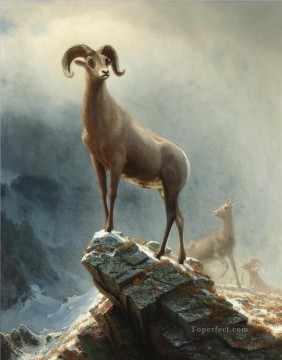 Animal Painting - Oveja Big Horn de las Montañas Rocosas American Albert Bierstadt animal